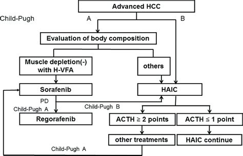 Proposed Treatment Strategy For Advanced Hepatocellular Carcinoma