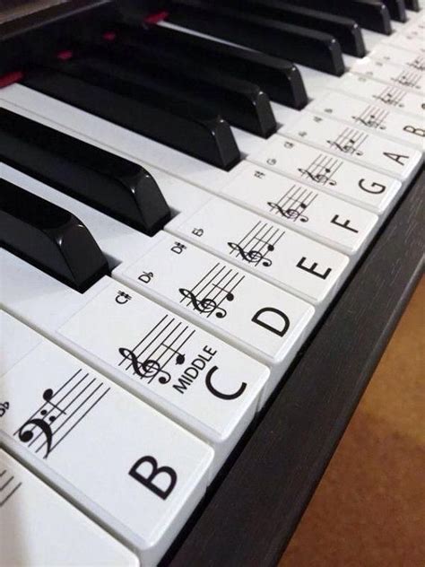 You can learn about playing the piano, music theory, rhythm and a lot of other concepts you need to learn piano. I will do this will my future piano with my future ...