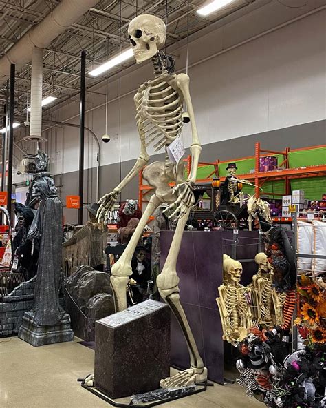 12 Ft Giant Skeleton For Sale Draw Meta