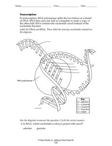 Dna replication & protein synthesis virtual lab sheet part 1 dna replication: DNA - studyres.com