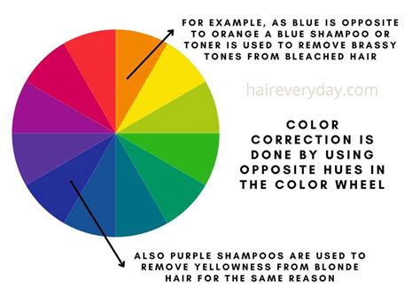 What Is Hair Color Correction Important Facts About Fixing Coloring