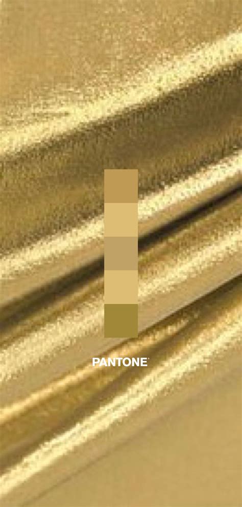 Pantone 871c Metallic Gold Color Wyvr Robtowner