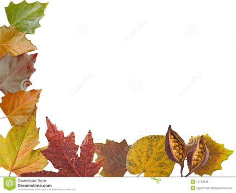 Autumn Leaves Border Stock Photo Image Of Decorate