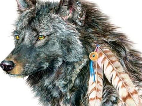 44 Native American Wolf Wallpaper Free