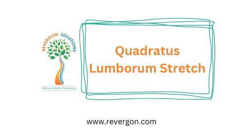 Quadratus Lumborum Stretch Youtube