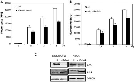 microrna 144 affects radiotherapy sensitivity by promoting proliferation migration and invasion