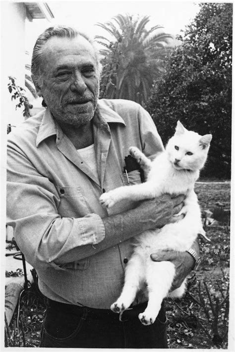 Charles Bukowski And Cat Cats Charles Bukowski Bukowski