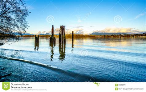 View Of The Fraser River In British Columbia Canada Stock Image