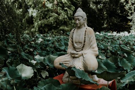 A Buddhist Legend About The Origin Of Tea