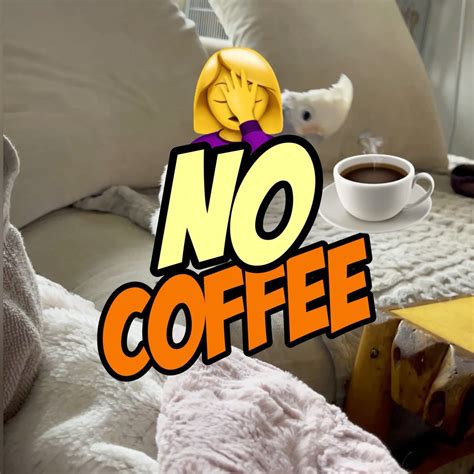 “no Coffee Coco” Cockatoo Tries To Outsmart Mama 👀☕️🤦‍♀️ “no Coffee