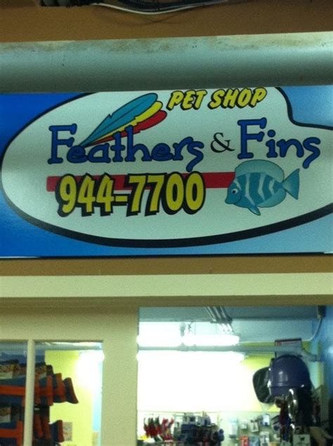 Feathers And Fins Pet Shop 201 Humber Avenue Labrador City