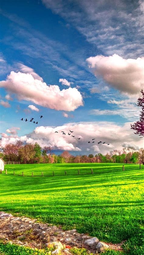 Spring Nature Backgrounds And Phone Wallpaper Hd Check More At