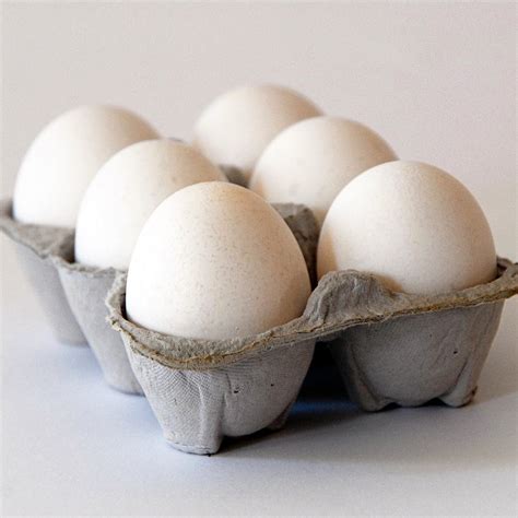 Eggs In Carton Photograph By Cabral Stock