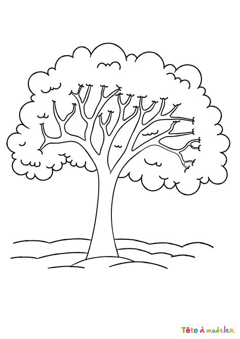 Coloriage Arbre 9 Avec Tête à Modeler