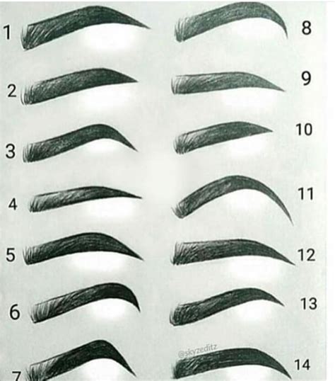 Different Types Of Eyebrow Eyebrows Sketch Types Of Eyebrows How To
