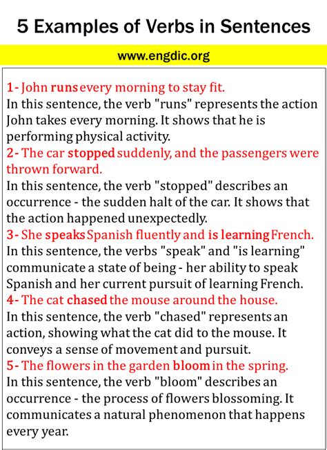 5 Examples Of Verbs In Sentences Engdic
