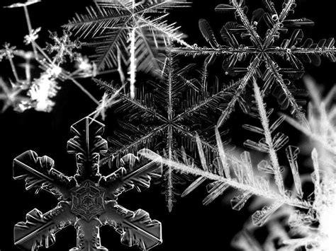 Snowflake Wallpapers Wallpaper Cave