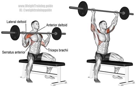 Seated Barbell Overhead Press A Compound Push Exercise Main Muscles