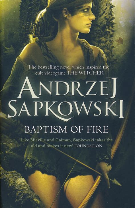 Baptism Of Fire By Andrzej Sapkoswki Frivolous Waste Of Time