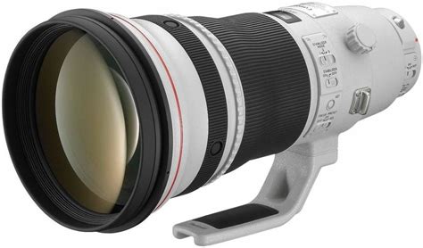 Best Lens For Bird Photography For Beginners Updated 2020 Nature