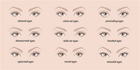 The Ultimate Guide To Identifying Your Eye Shape Nikkia Joy Cosmetics