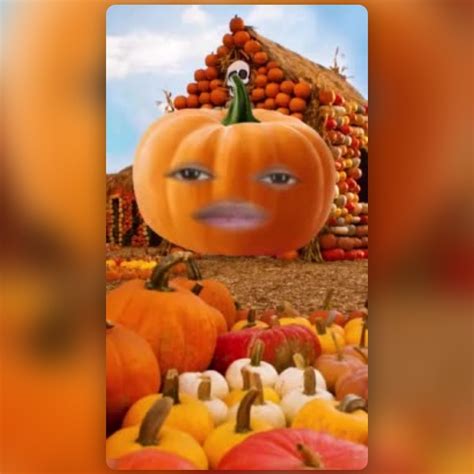 Spooky Pumpkin Lens By Stevani Snapchat Lenses And Filters
