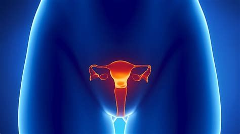 A New Way To Catch Hidden Ovarian Cancer Early Everyday Health
