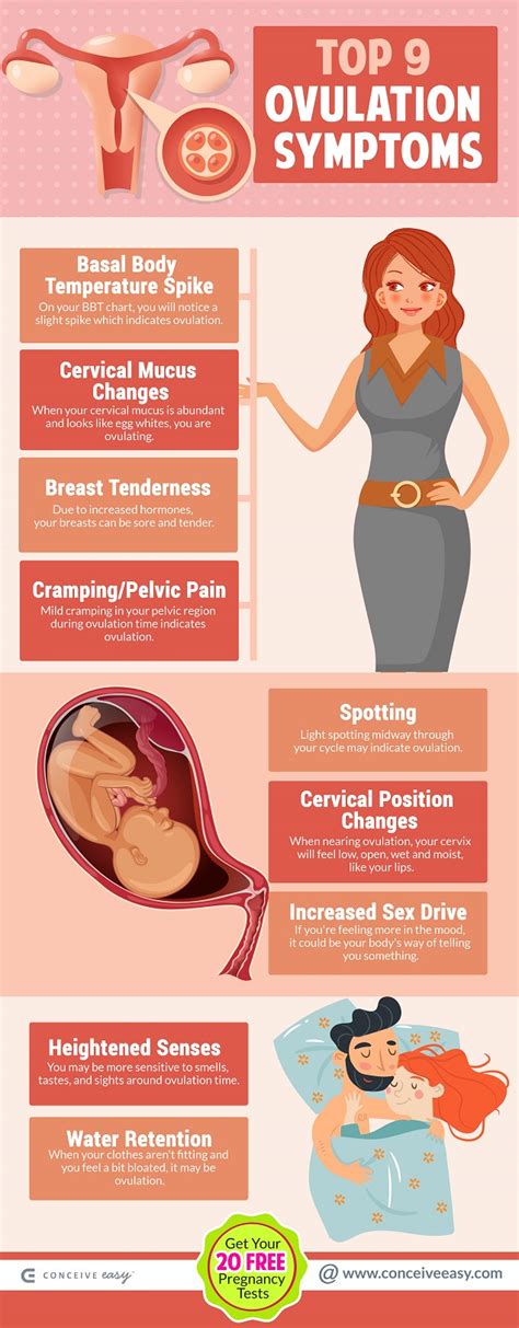 Top 9 Ovulation Symptoms Infographic Conceive Easy