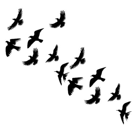 Premium Vector Flock Of Birds Flying Silhouette On White Background