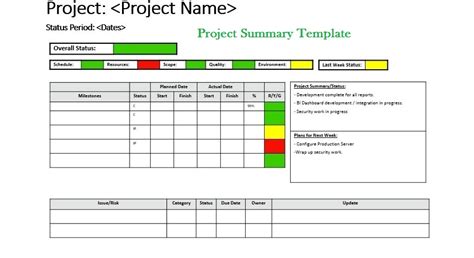 project summary template microsoft excel templates