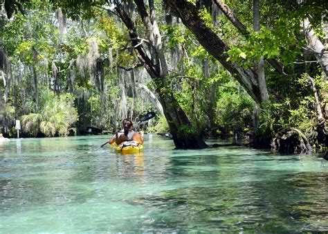 Maybe you would like to learn more about one of these? Visit Crystal River on a trip to The USA | Audley Travel