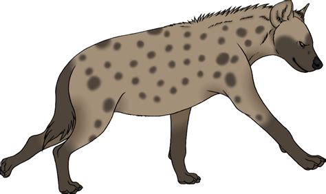 Hyena Png Images Hd Png Play