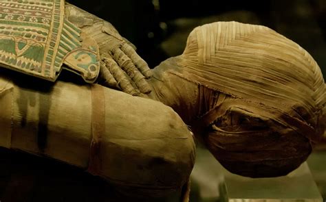 Unusual Artifact Found Inside 2000 Year Old Mummy Reportaz