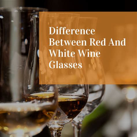 The Difference Between Red And White Wine Glasses Which Wine Glass Is Best For You Big