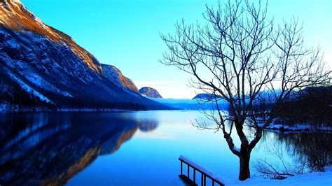 Mountains Landscapes Nature Lone Tree Natural