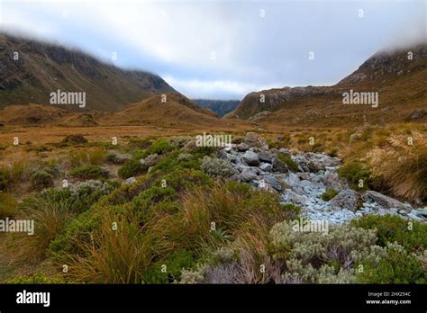 Foggy Landscape With Native Alpine Vegetation And Grassland Routeburn