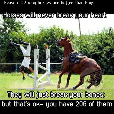 Pin By Norman Cornelius On Horse Humor Funny Horse Memes Funny Horse