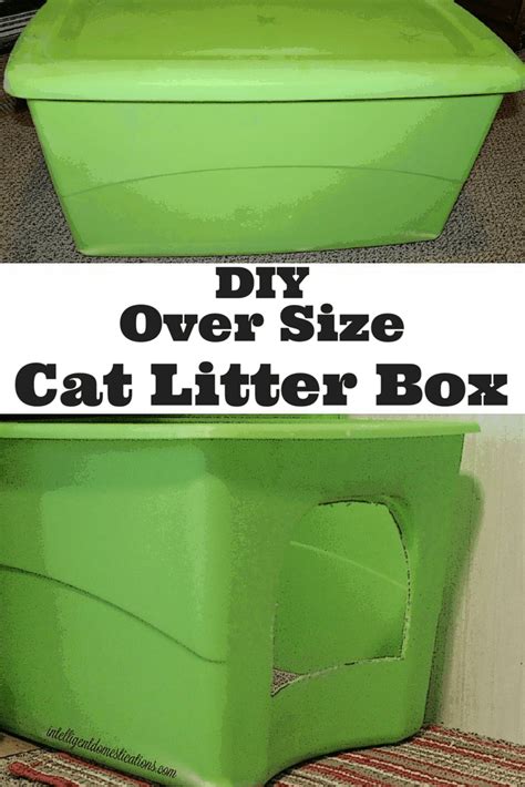 DIY Oversize Cat Litter Box