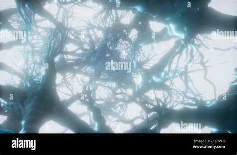 Journey Through A Neuron Cell Network Inside The Brain Stock Video