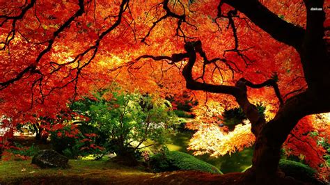 Autumn Landscape Wallpapers Wallpaper Cave