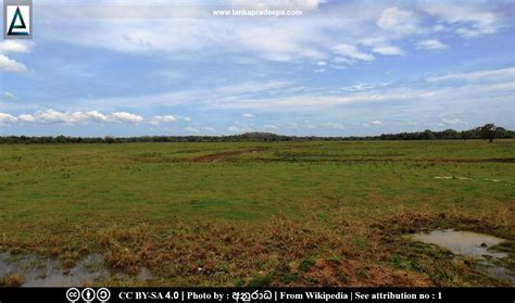 Somawathiya National Park ~