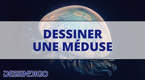 Comment dessiner une méduse Blog Dessindigo