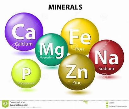 Minerals Essential Elements Mineral Trace Nutrients Human