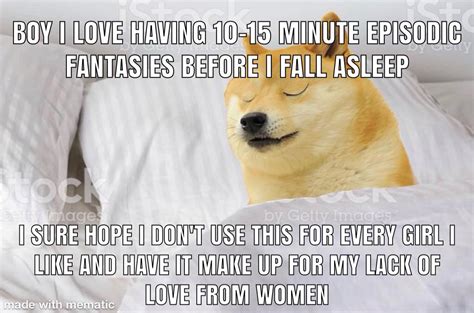 Le Pre Sleep Fantasies Have Arrived Rdogelore Ironic Doge Memes