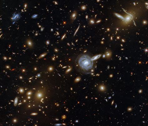 Hubble Spots Massive Cluster Of Galaxies Aco S 295 Scinews