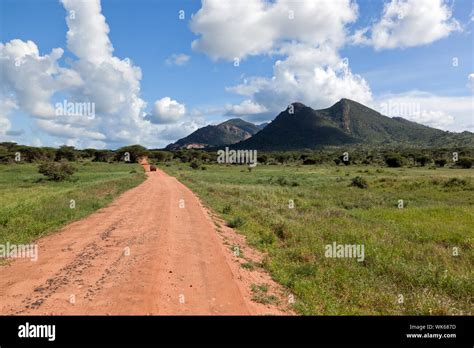 Red Ground Road And Bush With Savanna Landscape In Africa Tsavo West