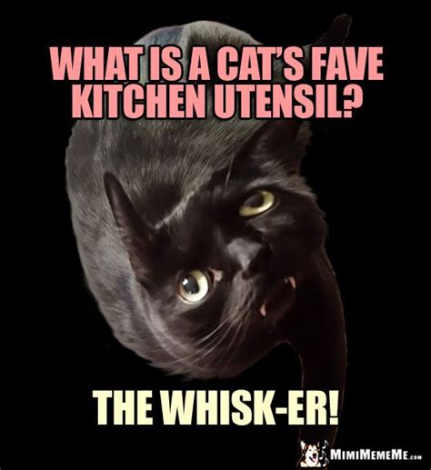 Funny Cat Pun What Is A Cats Fave Kitchen Utensil The
