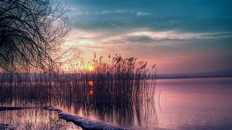 桌布 黃昏美麗的風景，寧靜的湖水，蘆葦，夕陽 2560x1600 Hd 高清桌布 圖片 照片