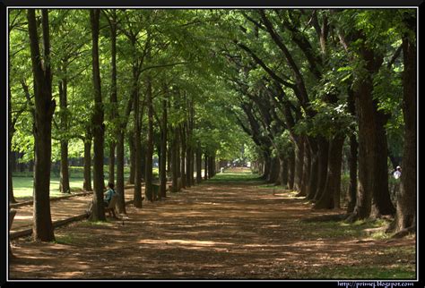 Prime Photos Cubbon Park