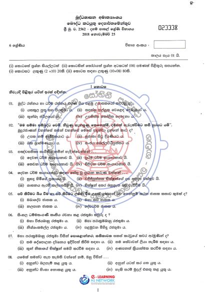 Grade 06 Daham Pasal Exam Past Paper With Answers 2018